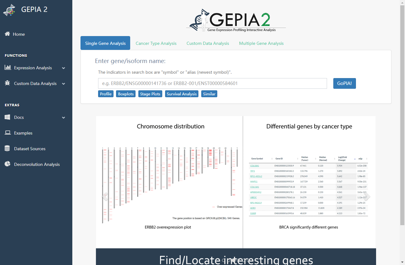 GEPIA 2 GEPIA 2